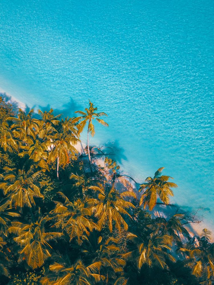 Photograph by Nazim Ahmed