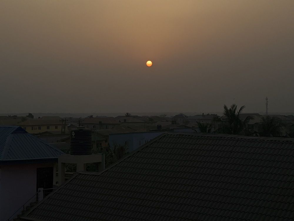 Photo #8728791