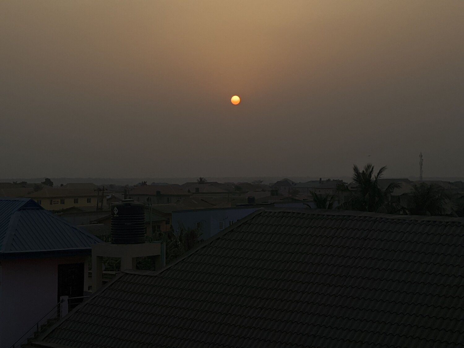Photo #8728791