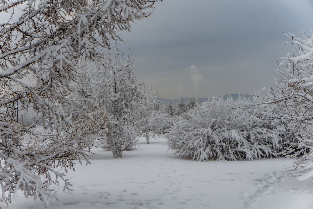 Photograph by Александр Пургин