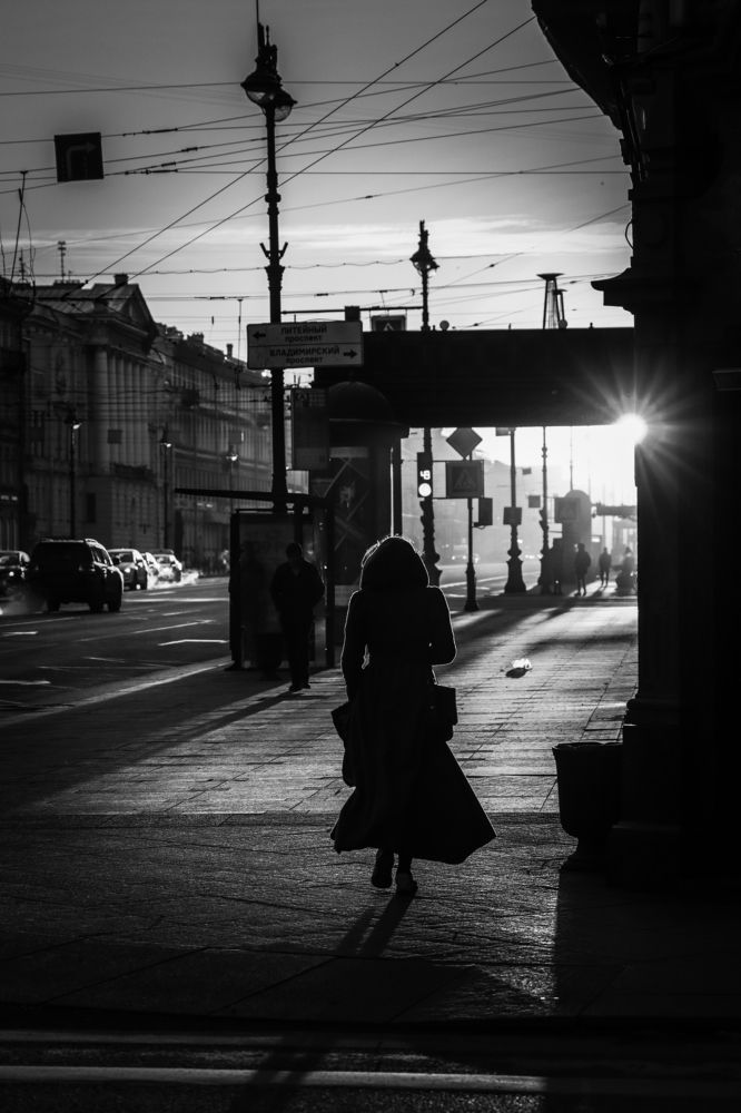 Photo #8728855