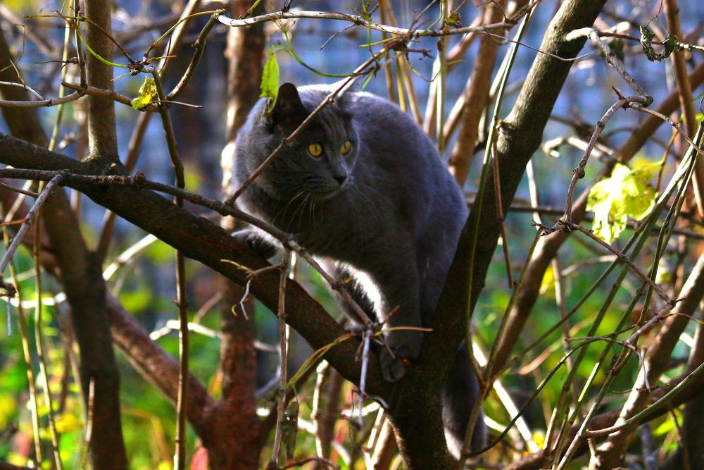 Photograph by салим насыпов