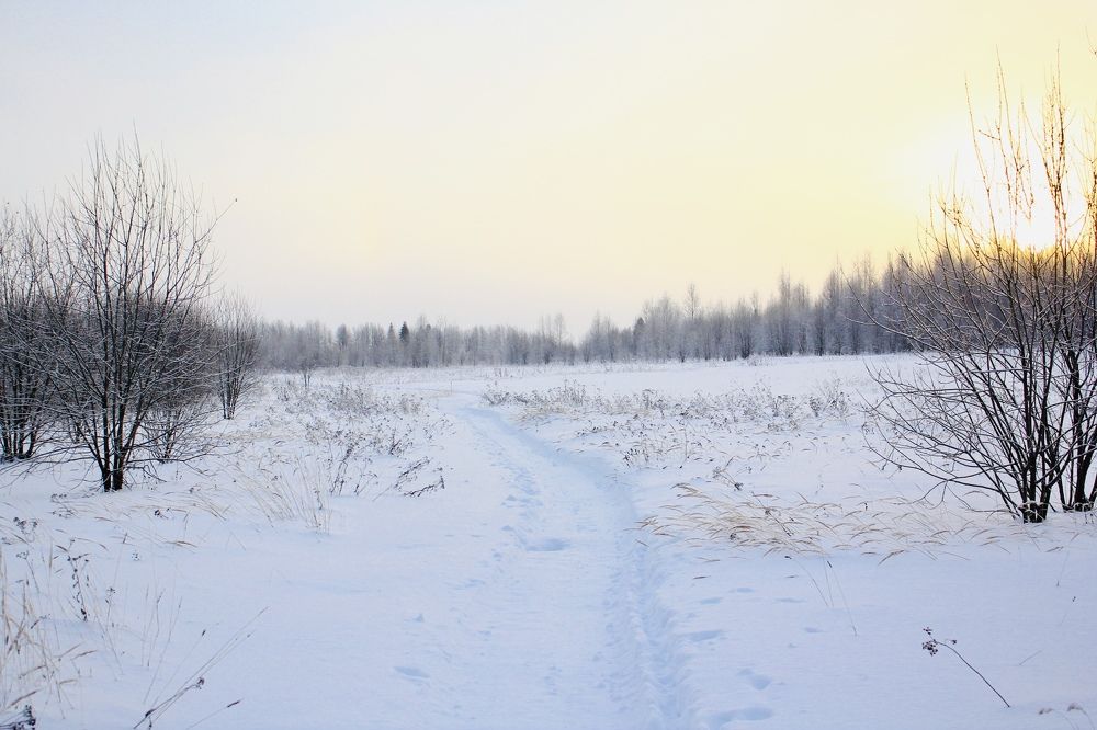 Photograph by Оксана Ефремова