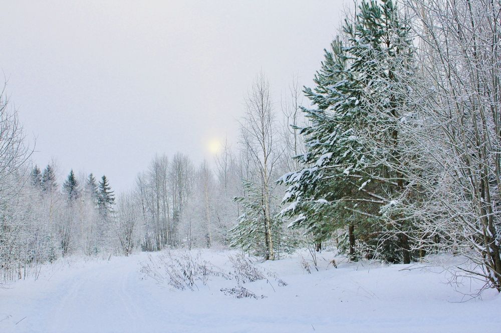 Русский зимний пейзаж