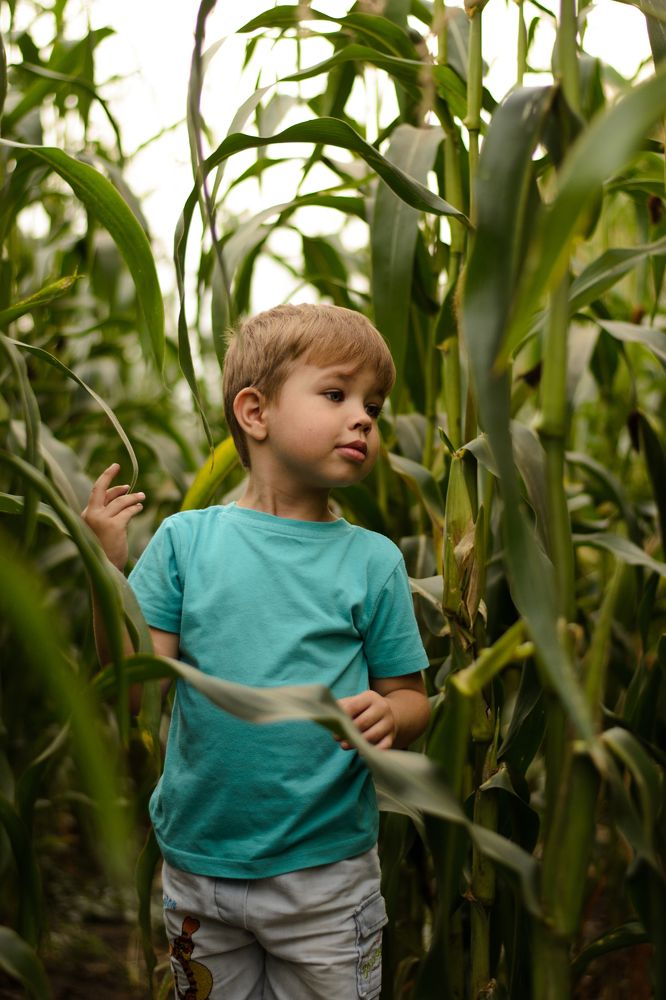 Photograph by Инна Новокшонова