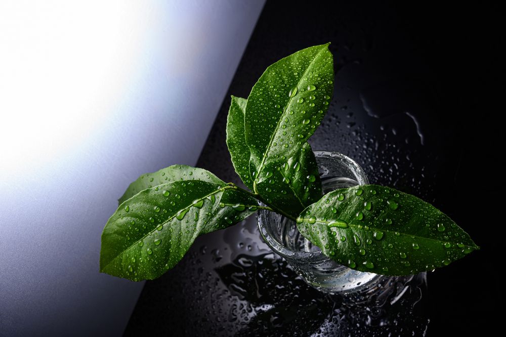 Photograph by Евгений Алексеев