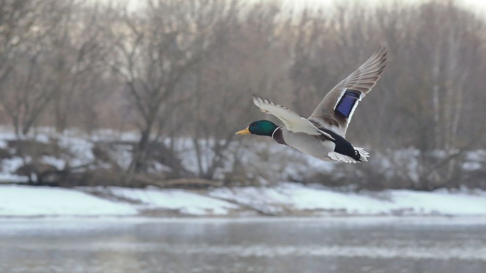 Photograph by VIKTOR