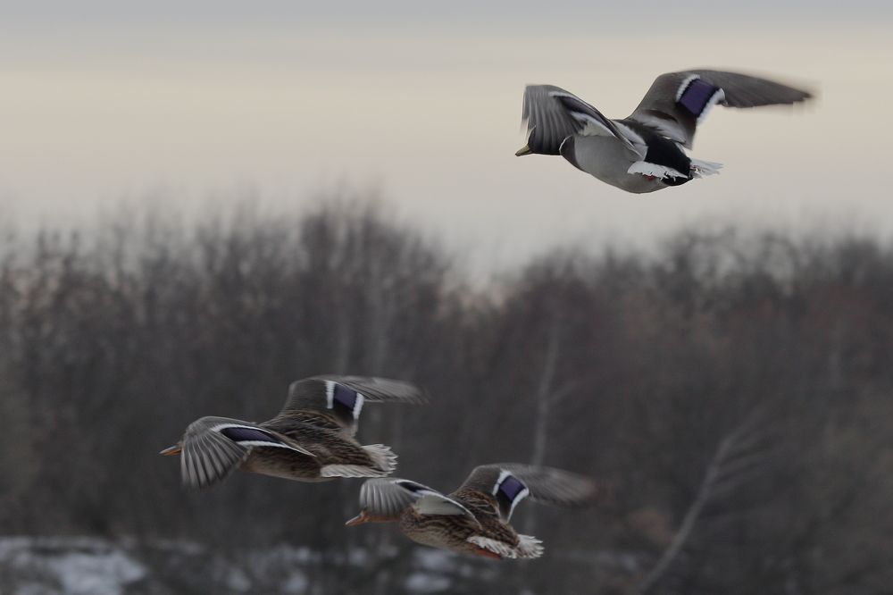 Photograph by VIKTOR