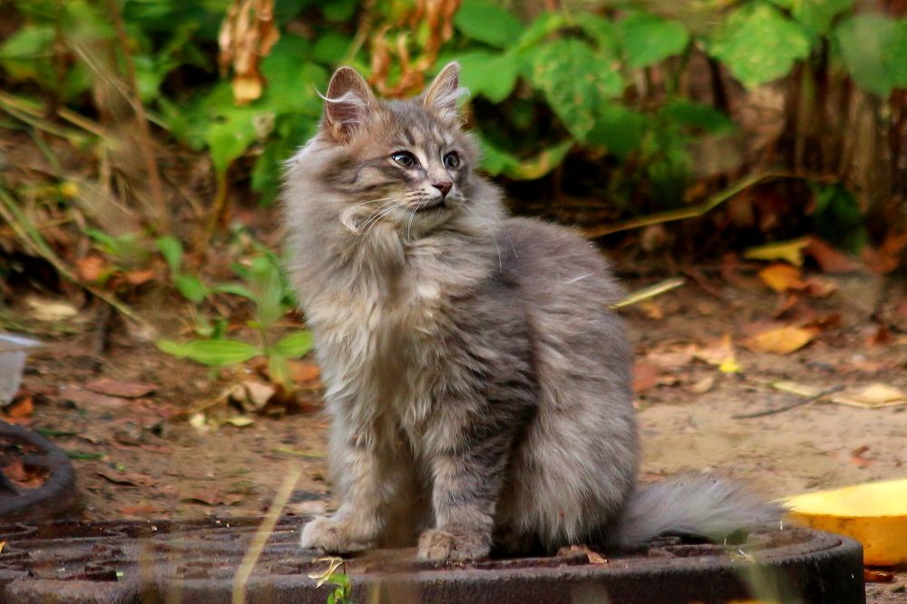 Photograph by салим насыпов