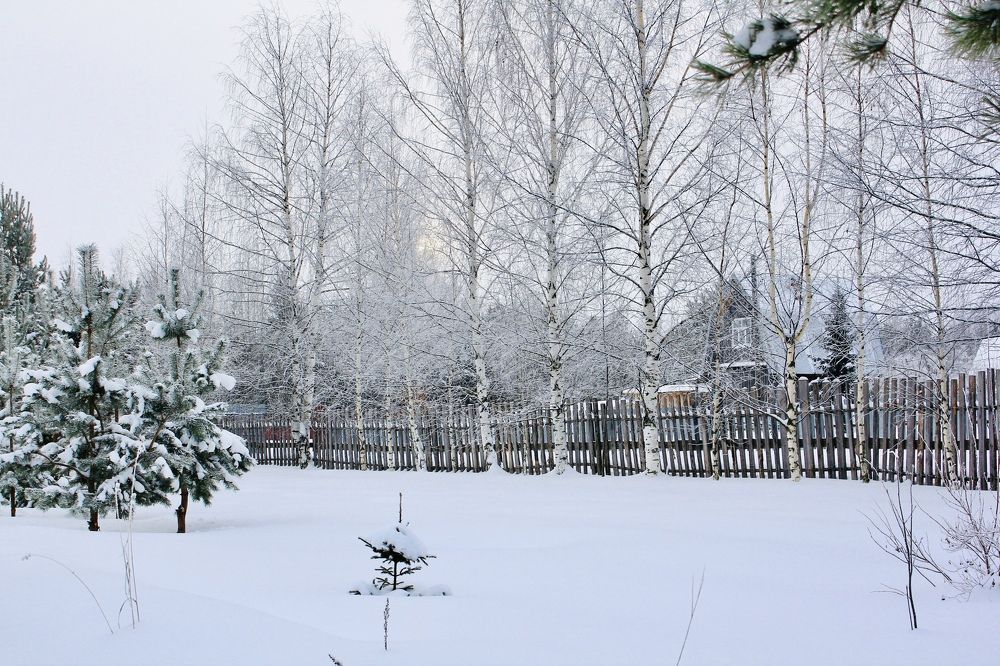 Photograph by Оксана Ефремова