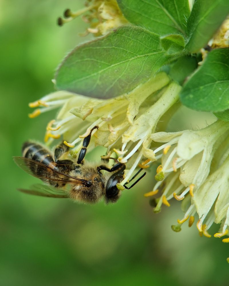 Photograph by Сергей Аксёнов