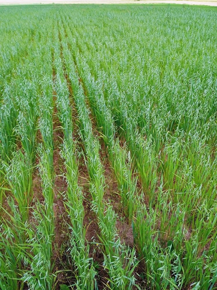 Photograph by Алия Хафизова