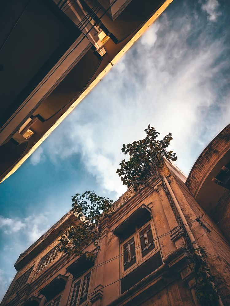 Photograph by Ali Hassan Saleem