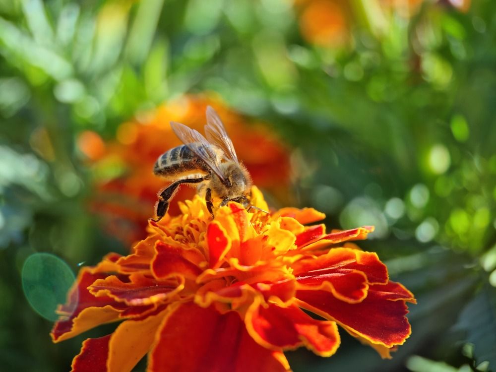 Photograph by Сергей Аксёнов