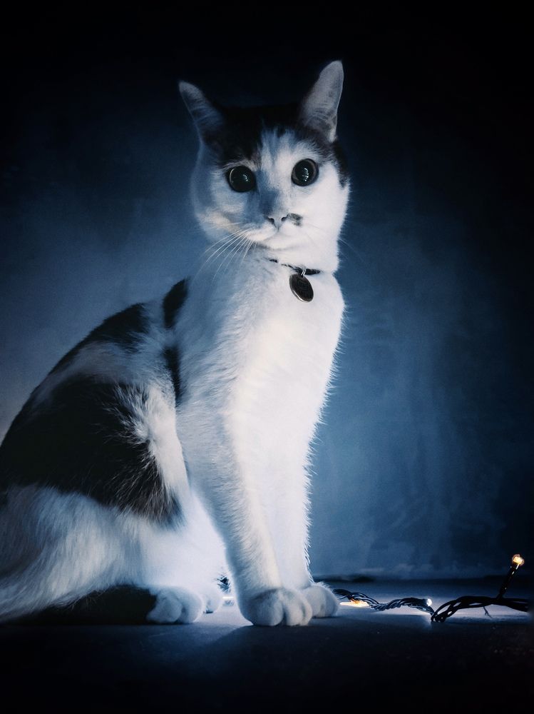 Photograph by Александр Маргачев