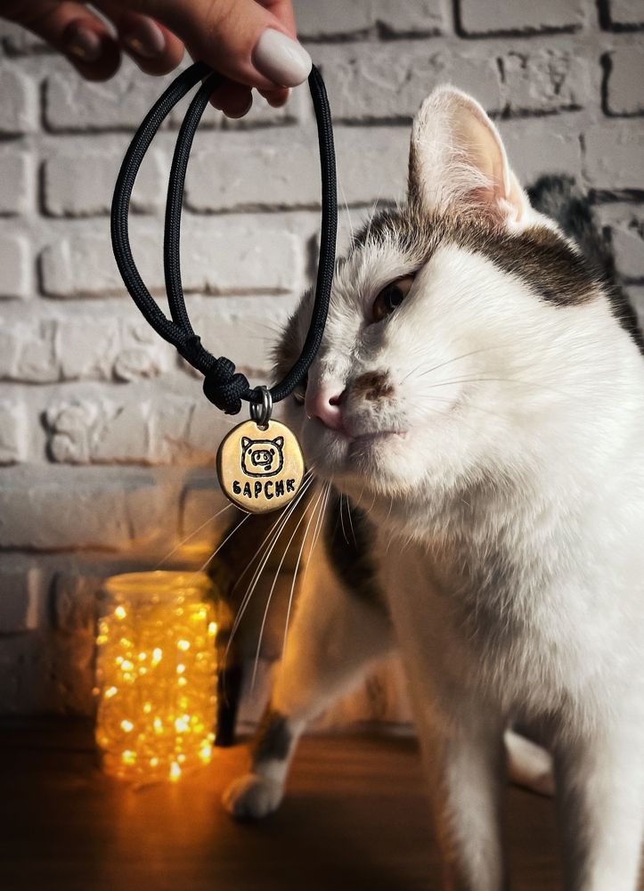 Photograph by Александр Маргачев