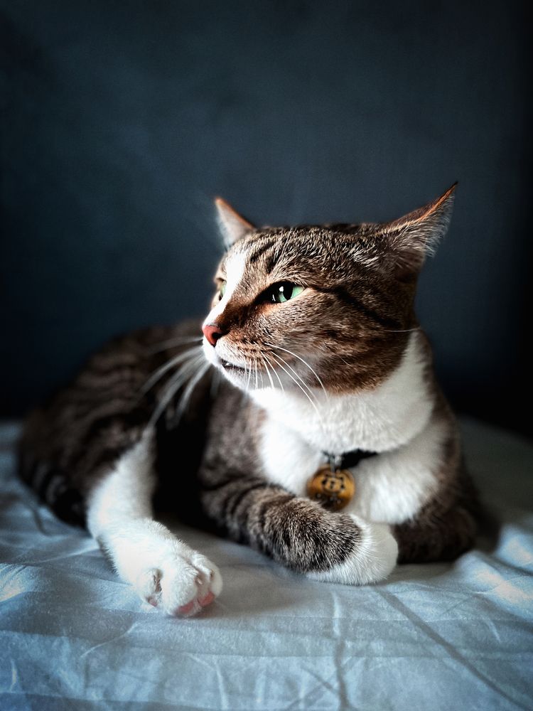 Photograph by Александр Маргачев