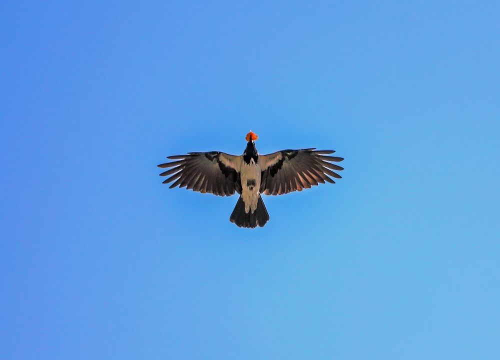 Photograph by Mahdi Reihani Bozorg