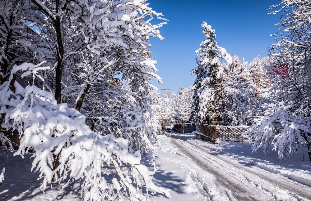 Photograph by Алишер Холматов