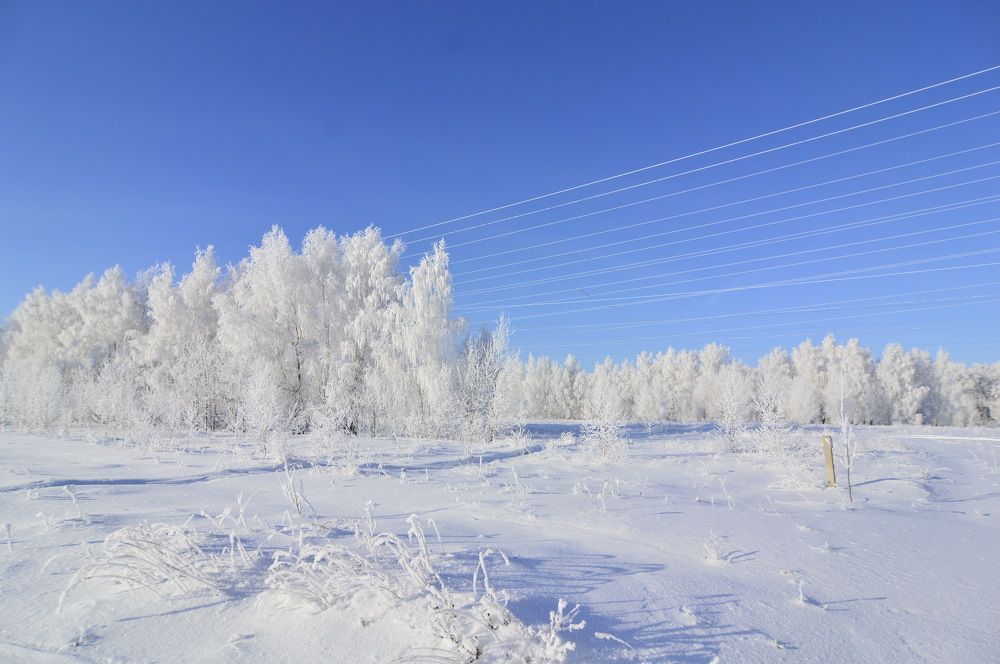 Фотография автора Клавдия Васильева
