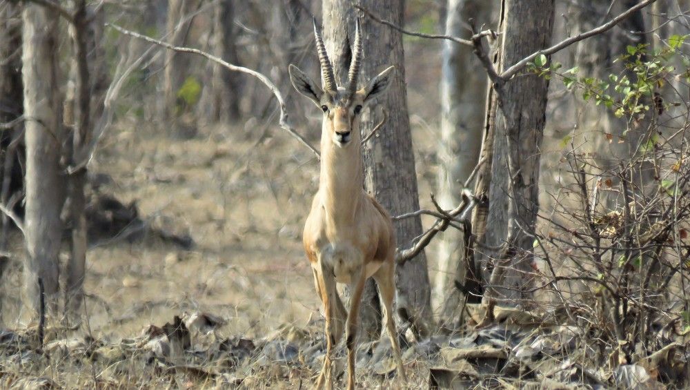 Photograph by ANISH BISWAS