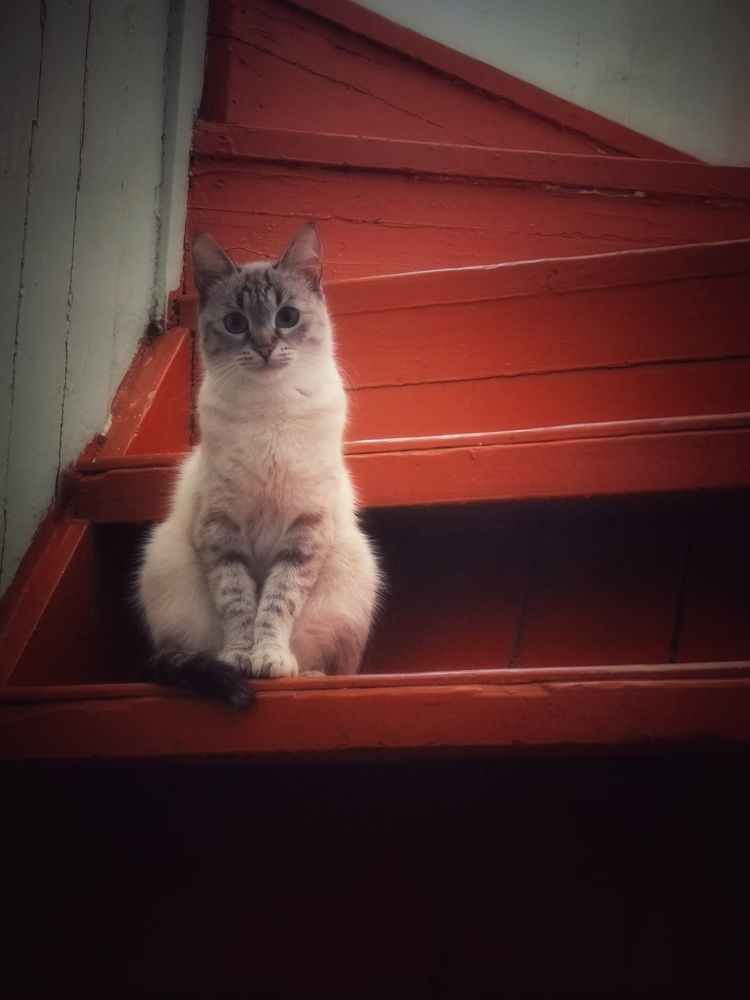 Photograph by Анастасия Винокурова