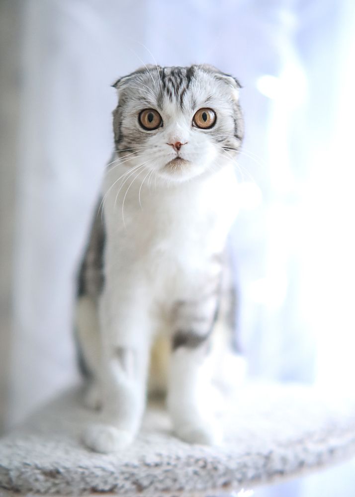 Photograph by Ольга Левина