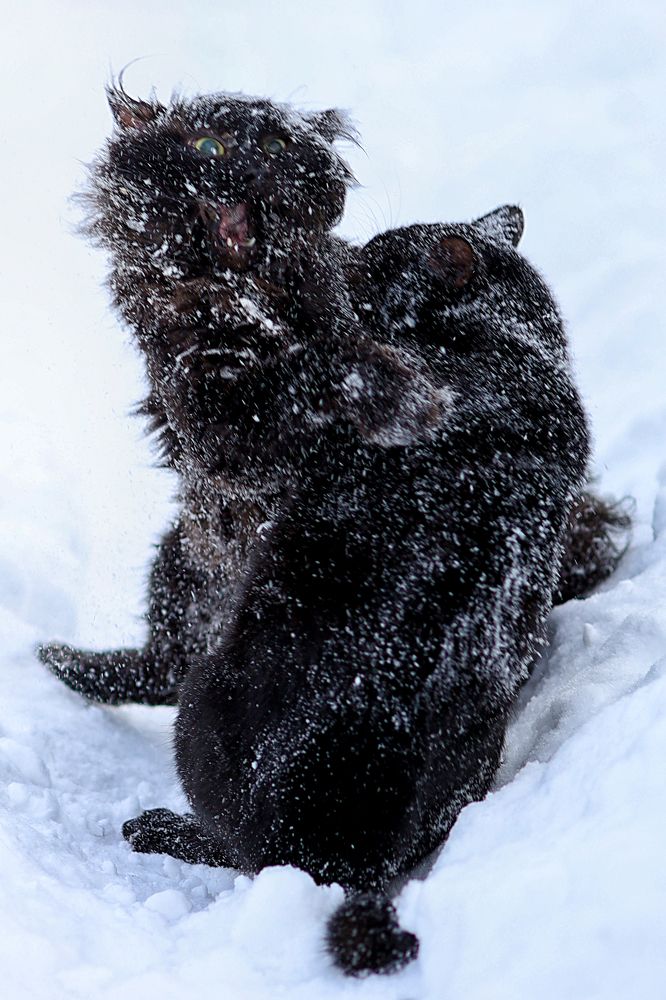 Photograph by Ольга Левина