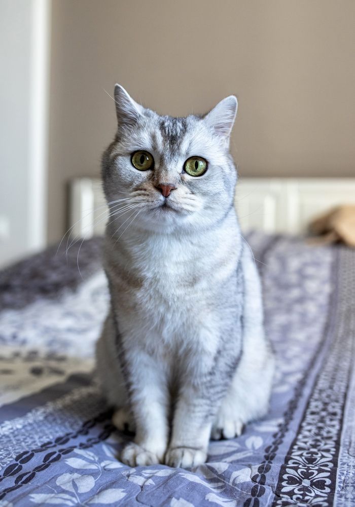 Photograph by Анастасия Барышева