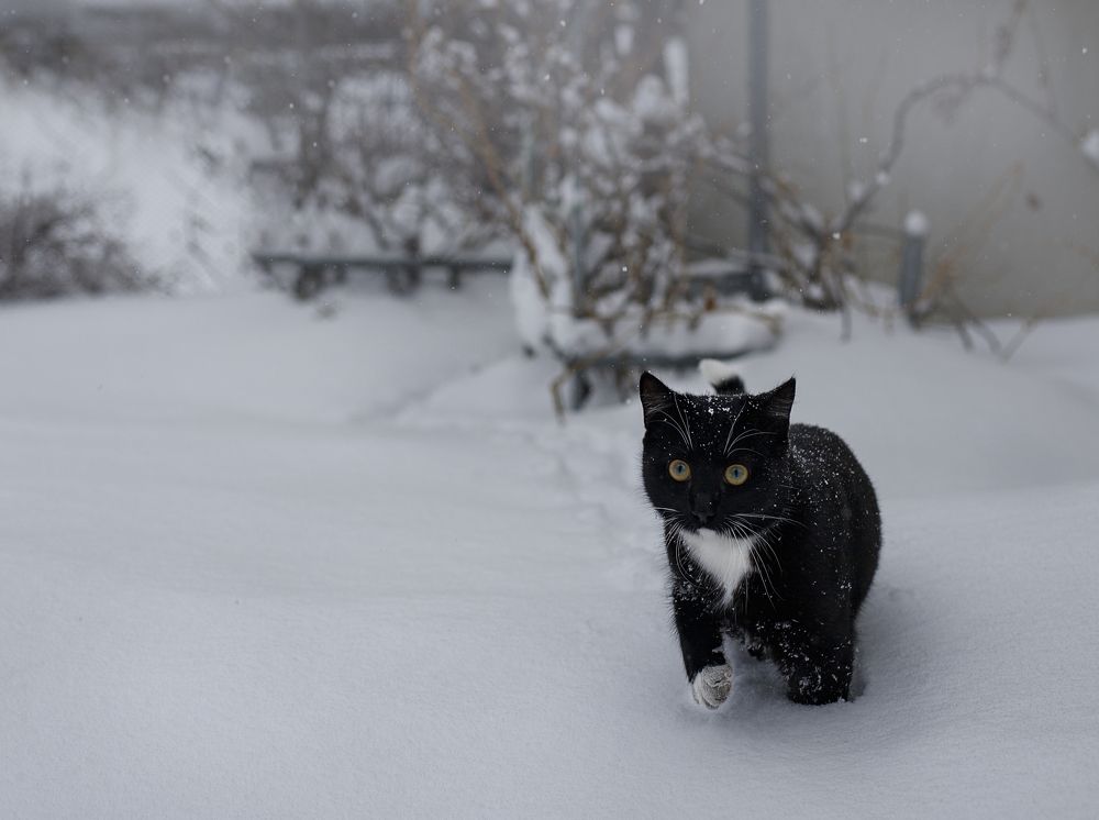 Photograph by Евгения Бронова