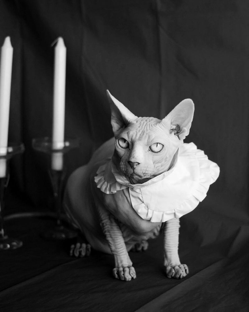 Photograph by Anna Medvedeva