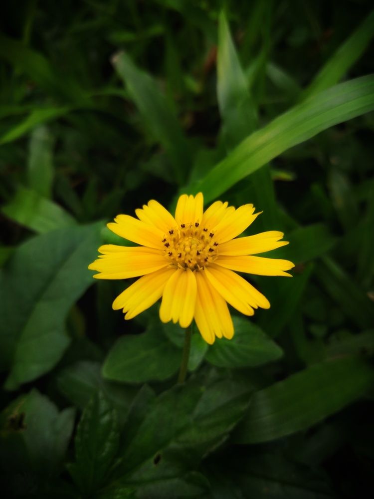 Photograph by Mahesh KV