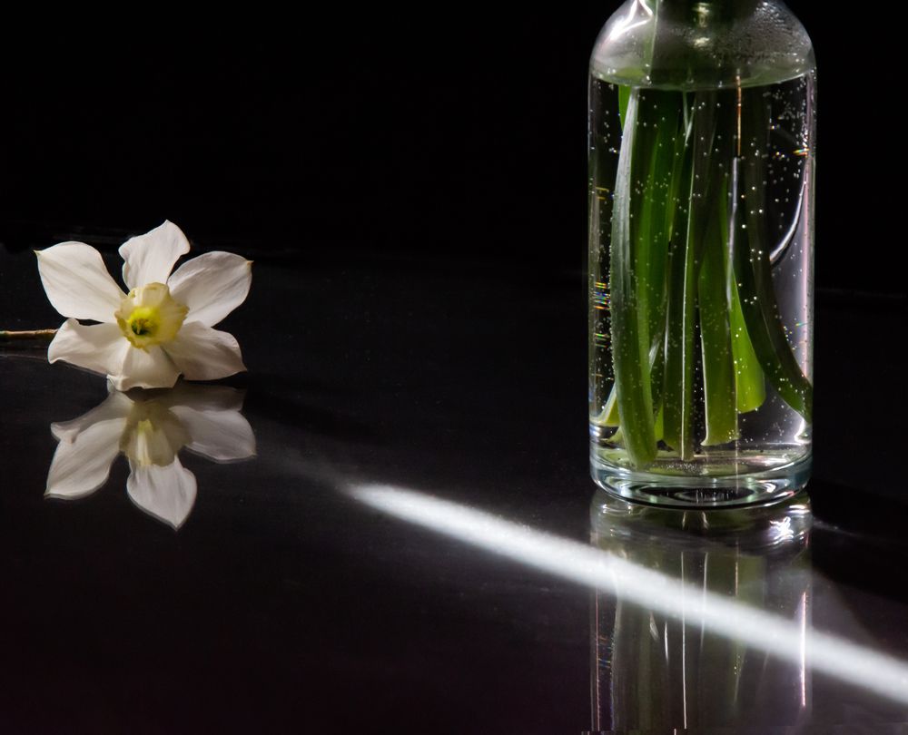 Photograph by Frolova Tatyana