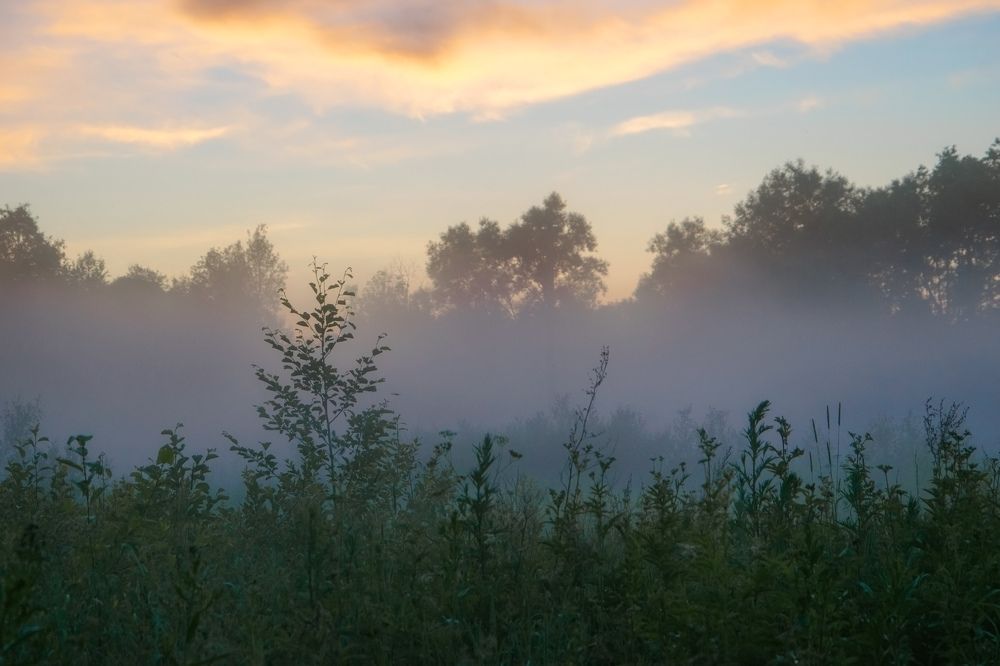 Летний вечер