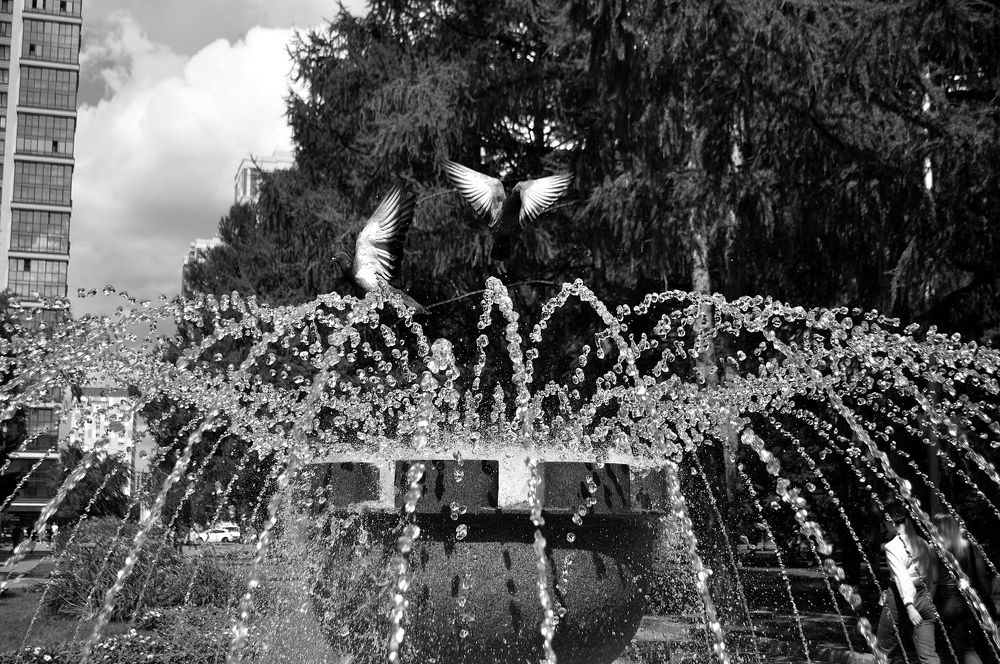 Photograph by Евгения Вакарчук