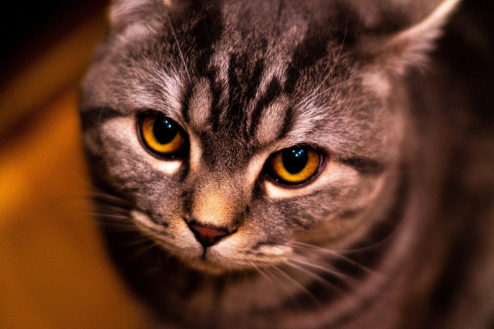 Photograph by alexander kryuchkov