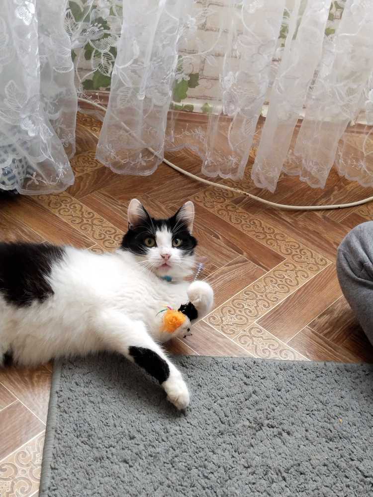 Photograph by Саманта Начкебия