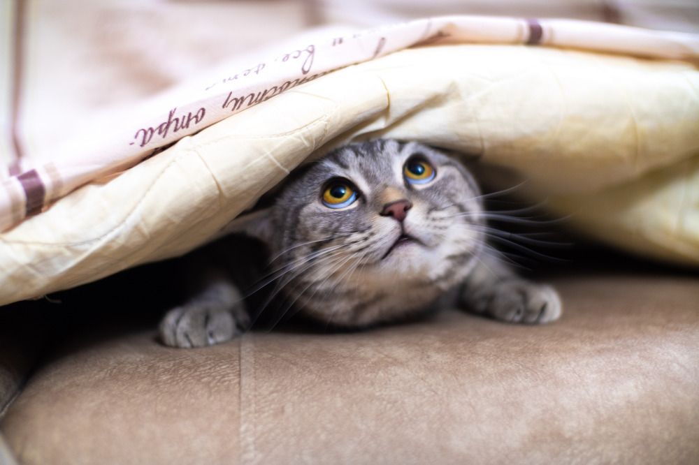 Photograph by alexander kryuchkov