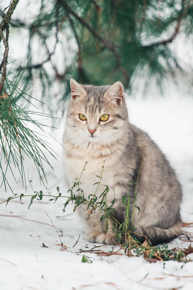 Photograph by Андрей