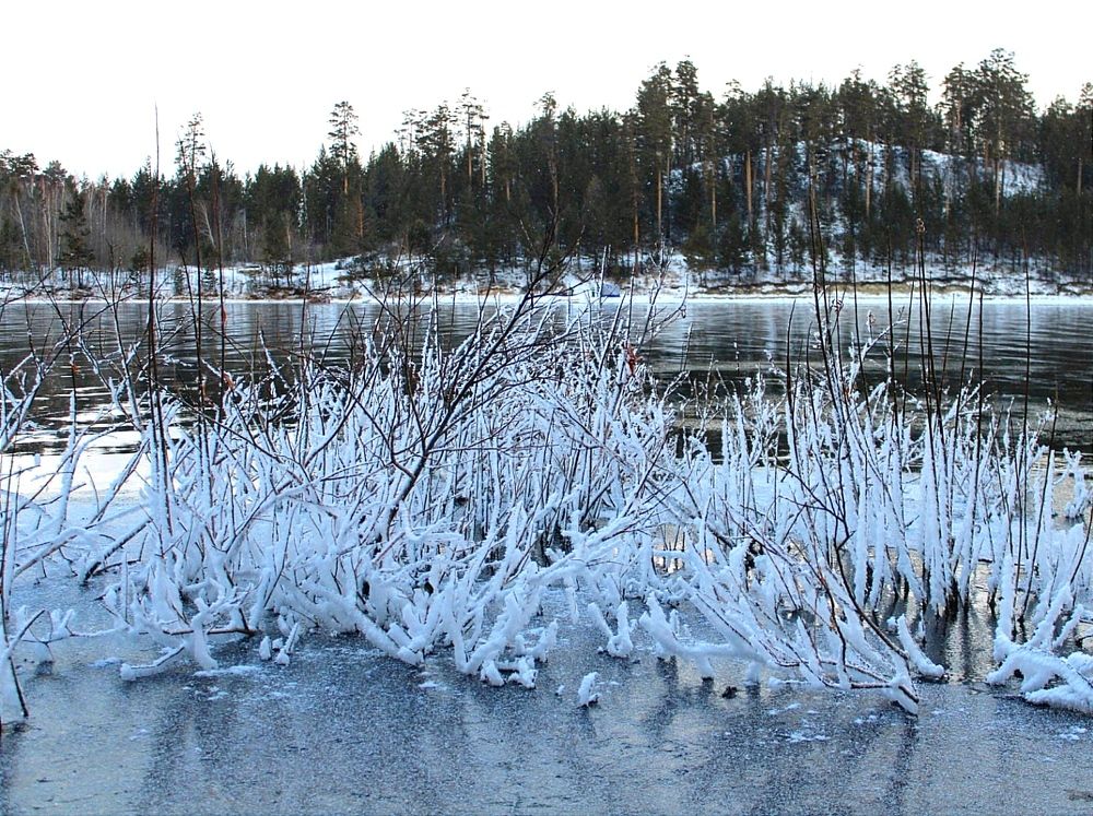 Photograph by Елена Кузнецова