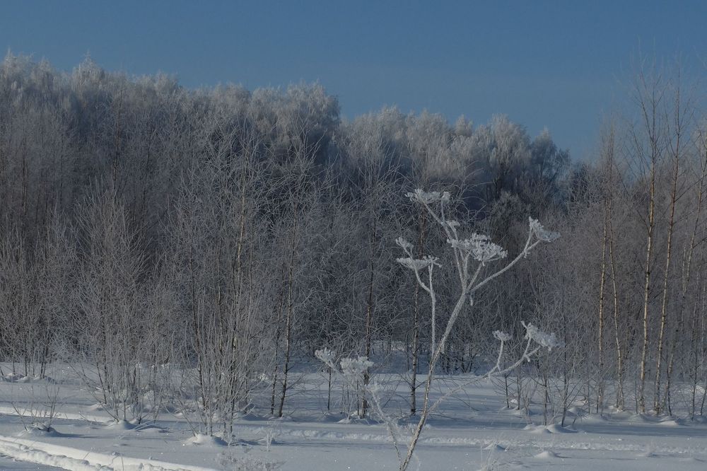 Photograph by Ираида Стародубцева