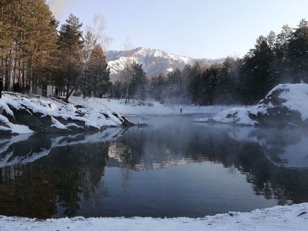 Photo #8729627