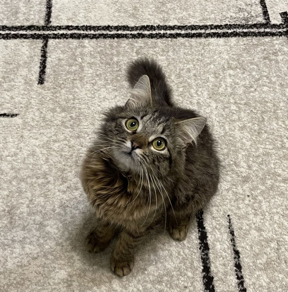 Photograph by Татьяна