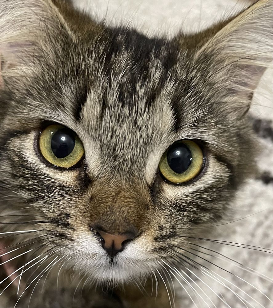 Photograph by Татьяна