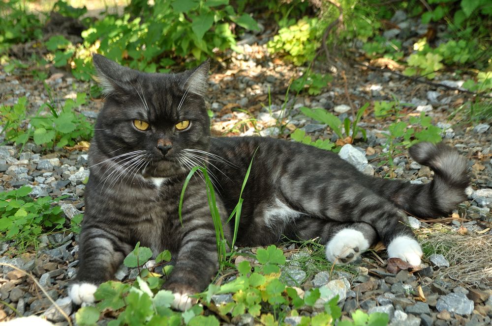 Photograph by Евгения Вакарчук
