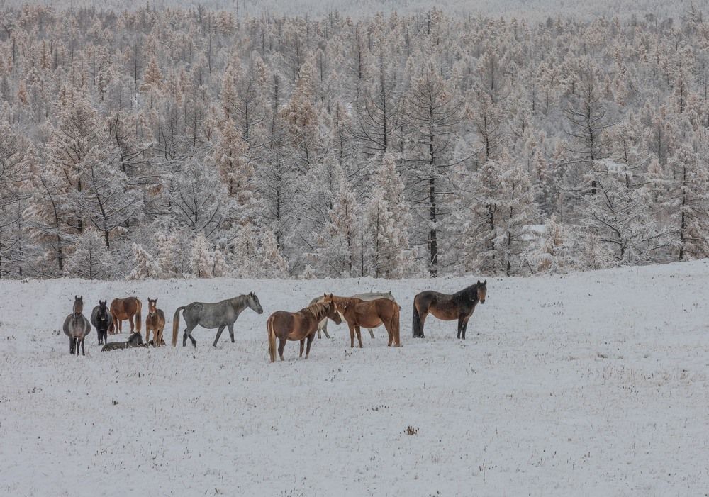 Photograph by Илья Поляк