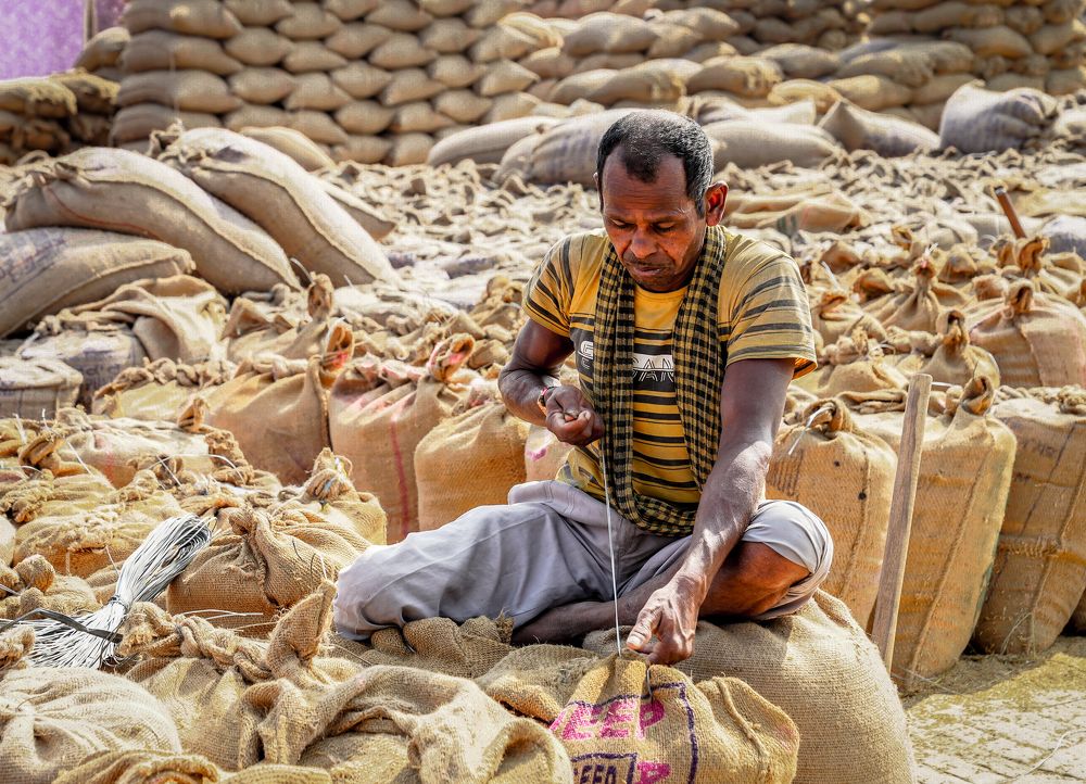 Фотография автора MITHUN KUMAR