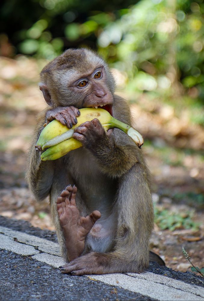 Photograph by Екатерина Слепнева