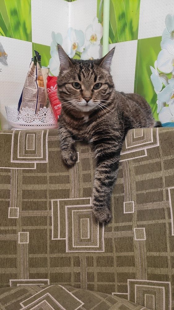 Photograph by Natalia Persidskaia