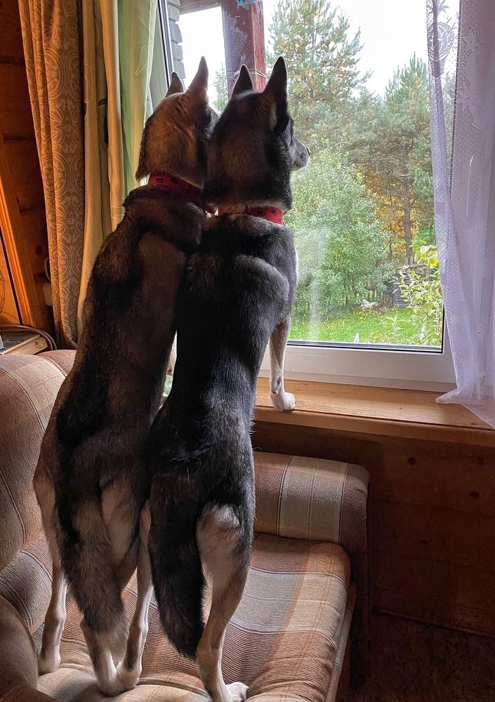 Photograph by Елена Одынец